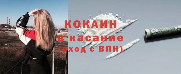 стаф Вязьма