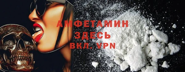 стаф Вязьма