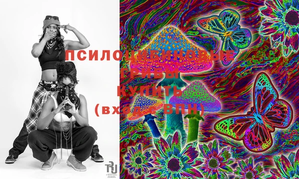 стаф Вязьма