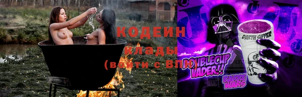 стаф Вязьма